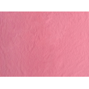 韩国进口60支水洗棉面料JZ纯棉高支高密起皱工艺空气感蓬松感布艺