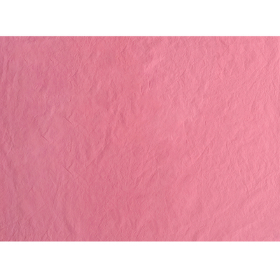 韩国进口60支水洗棉衬衫服装布艺