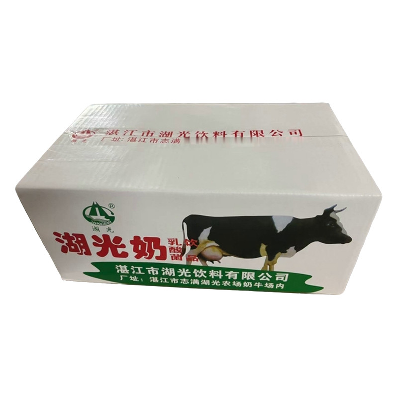 8月湛江特产湖光酸奶早餐牛奶乳含乳饮料