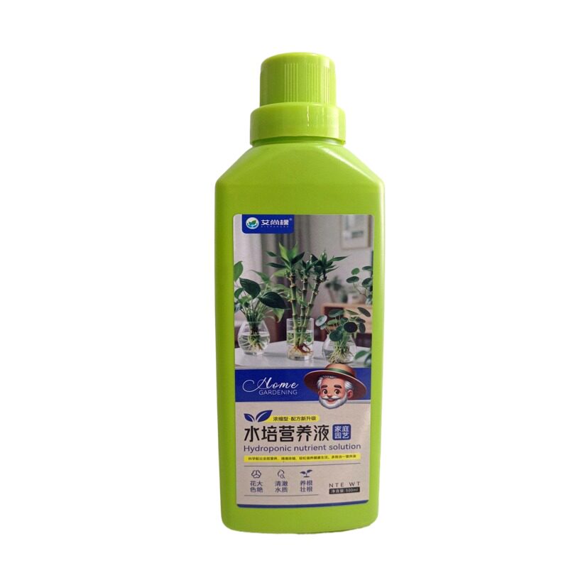 吉利红如意皇后万年红水培营养液
