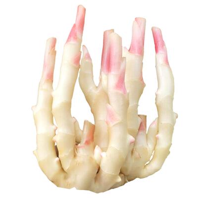 现挖发货新鲜四川嫩子姜