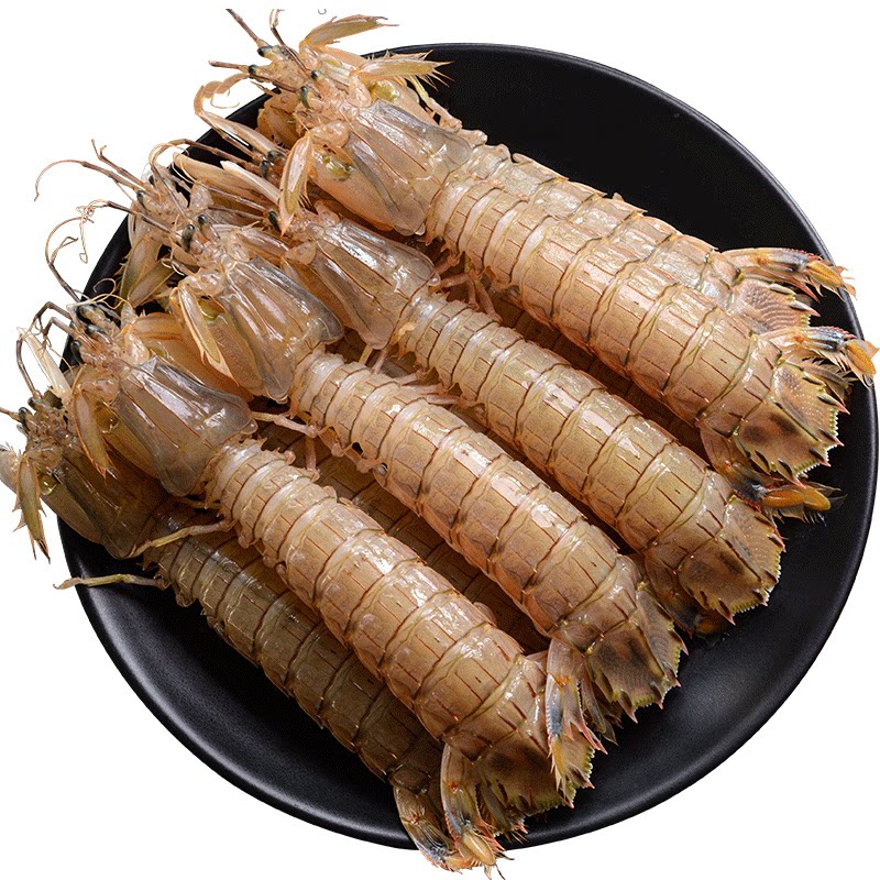 全母皮皮虾鲜活冷冻特大虾爬子椒盐非即食琵琶虾濑尿虾姑海虾海鲜