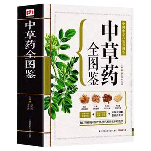 中草药全图鉴中国中草药实用配对与禁忌李时珍本草纲目药用植物一看就懂中药中药材识别鉴别与应用神农本草经青草药实用大辞典书籍