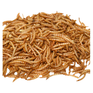 八哥鸟食饲料零食面包虫干八哥鹦鹉鸟粮用品瓜子虫干八哥专用粮食