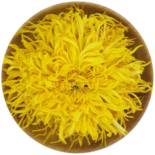 金丝皇菊黄菊花茶正品大朵一朵一杯非贡菊胎菊