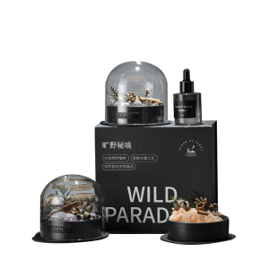 CITTA/西苔&旷野秘境 香薰礼盒装扩香石摆件生日礼物圣诞送男女友