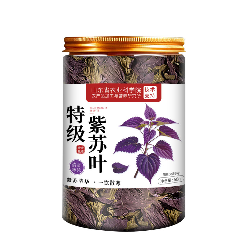 紫苏叶新鲜食用中药材泡水喝的功效与作用子叶祛官方旗舰店正品湿