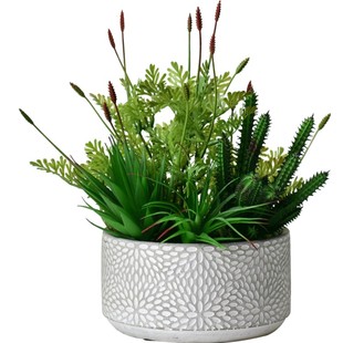 知根 北欧创意仿真绿植盆栽小摆件客厅植物假草室内摆设装饰品