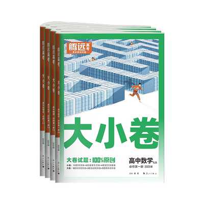 2025高一大小卷高中同步测试卷子