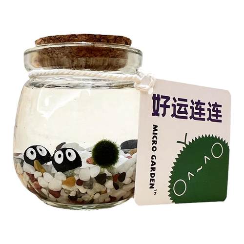 马里莫海藻球生态瓶桌面宠物迷你小植物 diy生日礼物趣味造景瓶