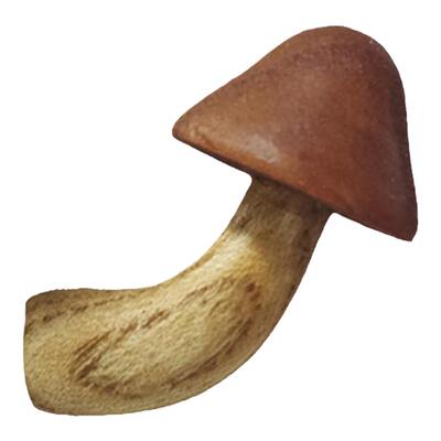 冰箱贴实木蘑菇造型红色深棕色