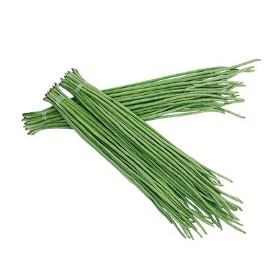 四季高产豇豆特长豆角蔬菜种子
