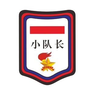 少先队队干标志中队长二道杠大队长三道杠小学生班干部臂章袖章小队委员一道杠袖标棉布别针徽章PVC牌子
