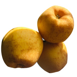 苹果黄金维纳斯山东丑苹果当季脆甜清香多汁锈斑孕妇当季包邮水果