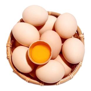 淘宝买菜 散养鸡蛋土鸡蛋笨鸡蛋柴鸡蛋新鲜蛋新鲜鸡蛋