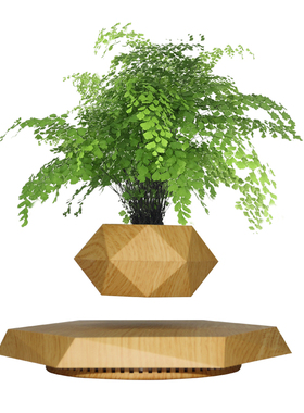 磁悬浮花盆ins日式风礼物摆件