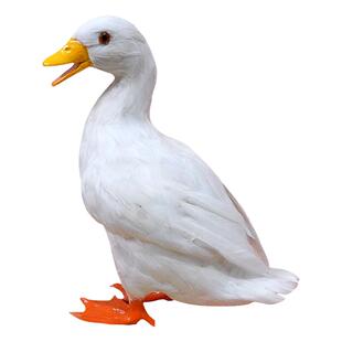 仿真鸭子模型大小白鸭玩偶绿头鸭模型假鸭子模型儿童户外拍照道具