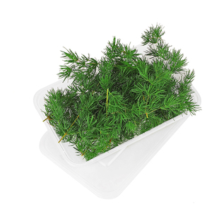 新鲜蓬莱松 松针 松树针叶 新鲜采摘酒店西餐餐饮摆盘装饰10支/盒