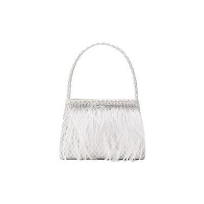 SeiCarinaY秀款钻链羽毛手提包