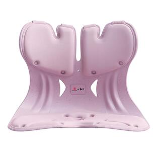 BKT护腰坐垫椅旗舰店官方靠久座神器人体工学办公支撑背部姿枕托