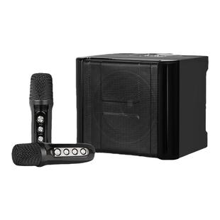 得普声音响话筒一体机家庭KTV音箱便携式广场带混响无线蓝牙k歌