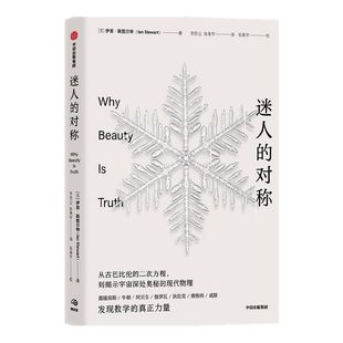 迷人的对称 从古巴比伦的二次方程 到揭示宇宙深处奥秘的现代物理 伊恩斯图尔特 著 跟随闪耀天才的故事 探索对称的历史