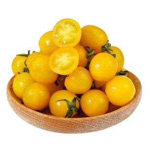 黄色金圣女果夏日阳光樱桃小番茄新鲜水果酸甜小西红柿千禧包邮