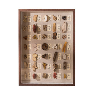 解忧慧画手工DIY中药材标本相框中草药摆件挂墙装饰画中医馆诊室