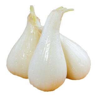 四川藠头新鲜荞头蔬菜农家教头小蒜疏菜叫头泡菜茭头现挖苦野蕌头