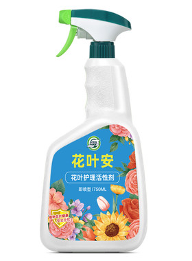 坤宁王-数百万花友小白的选择