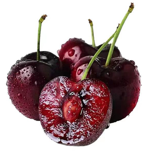 智利车厘子5斤装礼盒水果包邮次日达孕妇3J4j吉制桑提娜樱桃