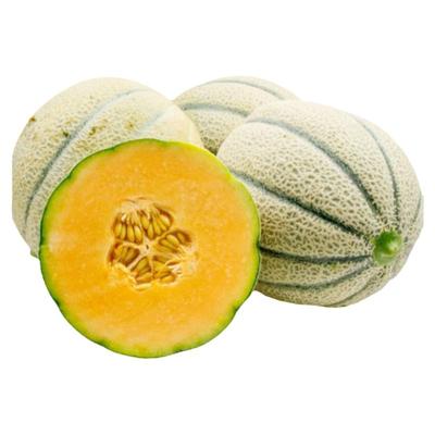 蜜蜂岩甜瓜种子蜂蜜味早熟脆甜