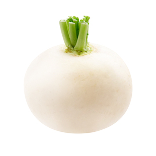 春不老萝卜种子籽罗卜白萝卜籽秋后冬季种植的蔬菜种籽大全种孑子