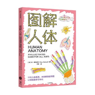 图解人体 肯·阿什威尔著 中信出版社图书 正版