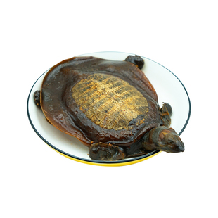 夏竺新鲜现做5两6两麻辣小甲鱼卤味香辣甲鱼开袋加热即食顺丰速运