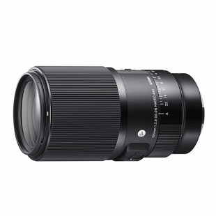 SIGMA适马105mm F2.8 DG DN MACRO微距镜头 Art系列 E卡口 L卡口