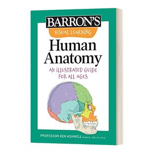 英文原版 Visual Learning Human Anatomy 图解解剖学 An illustrated guide for all ages 英文版 进口英语原版书籍