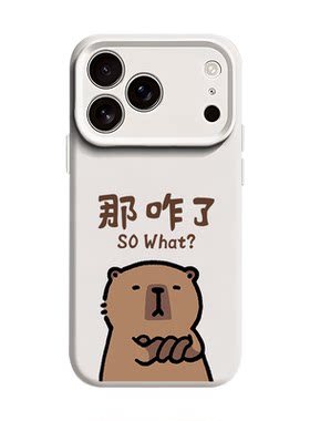 你啰嗦了适用苹果18情侣手机壳iPhone17promax磁吸16plus新款15卡皮巴拉14水豚13趣味12搞笑x液态硅胶男女air