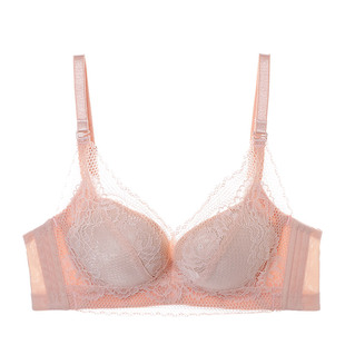 EVE‘S WHISPER/夏娃秘语蕾丝小胸显大提拉上托聚拢女内衣文胸罩