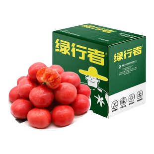 【绿行者】粉番茄新鲜西红柿沙瓤新鲜自然熟可生吃番茄酸甜水果