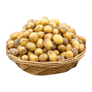 恩施小土豆粉糯整箱包邮