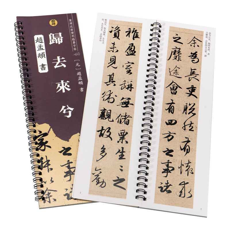 归去来兮辞赵孟頫毛笔字帖