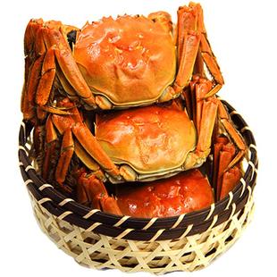 活蟹军山湖大闸蟹3.5-3.8两10只特大礼盒全母蟹现货江西螃蟹现货