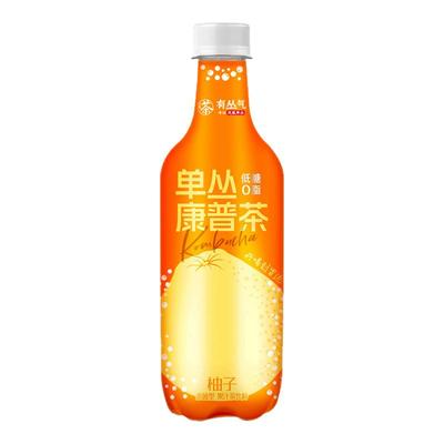 【新品】有丛气清爽解腻0脂柚子单丛康普茶饮料500ml果汁汽泡茶