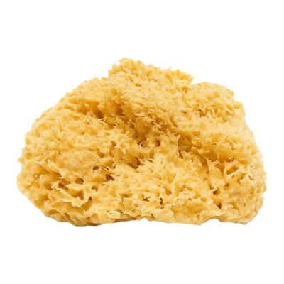 Bellini原装蜂巢海绵宝宝洗澡用