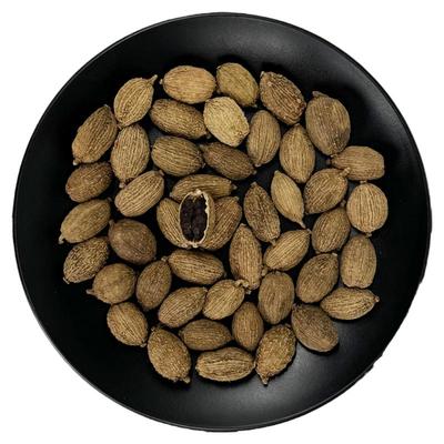 香砂仁新货干货冷库保鲜中药材