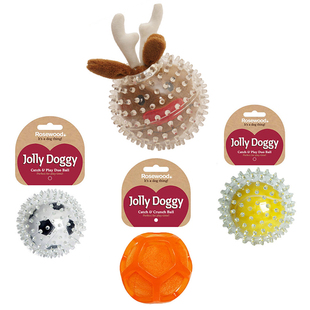 Rosewood宠物狗狗橡胶球玩具磨牙弹力球足球多刺球清洁口腔