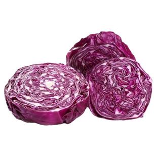 紫甘蓝1号种子包菜种籽紫红色圆球形甘兰洋白菜种籽卷心菜籽种籽