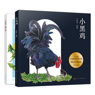 精装手绘礼品盒 小黑鸡 赠科普手册 大鹏自然童书奖博洛尼亚插画奖 于虹呈 3-6岁少儿童成长勇气生命励志幼儿科普绘本睡前故事书籍