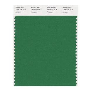 Pantone潘通色卡彩通官方旗舰店 棉布版单张色卡 服裝家居 19-0307至19-0618TCX